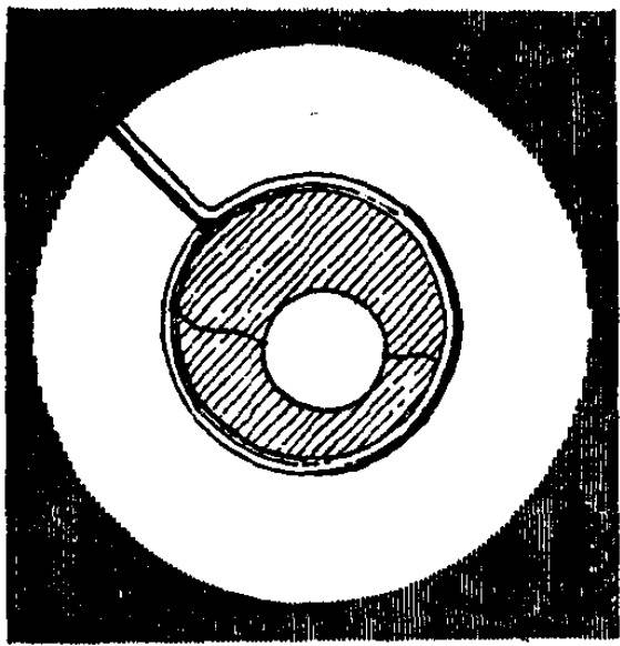 在吹泡泡史上，这些科学家留有姓名